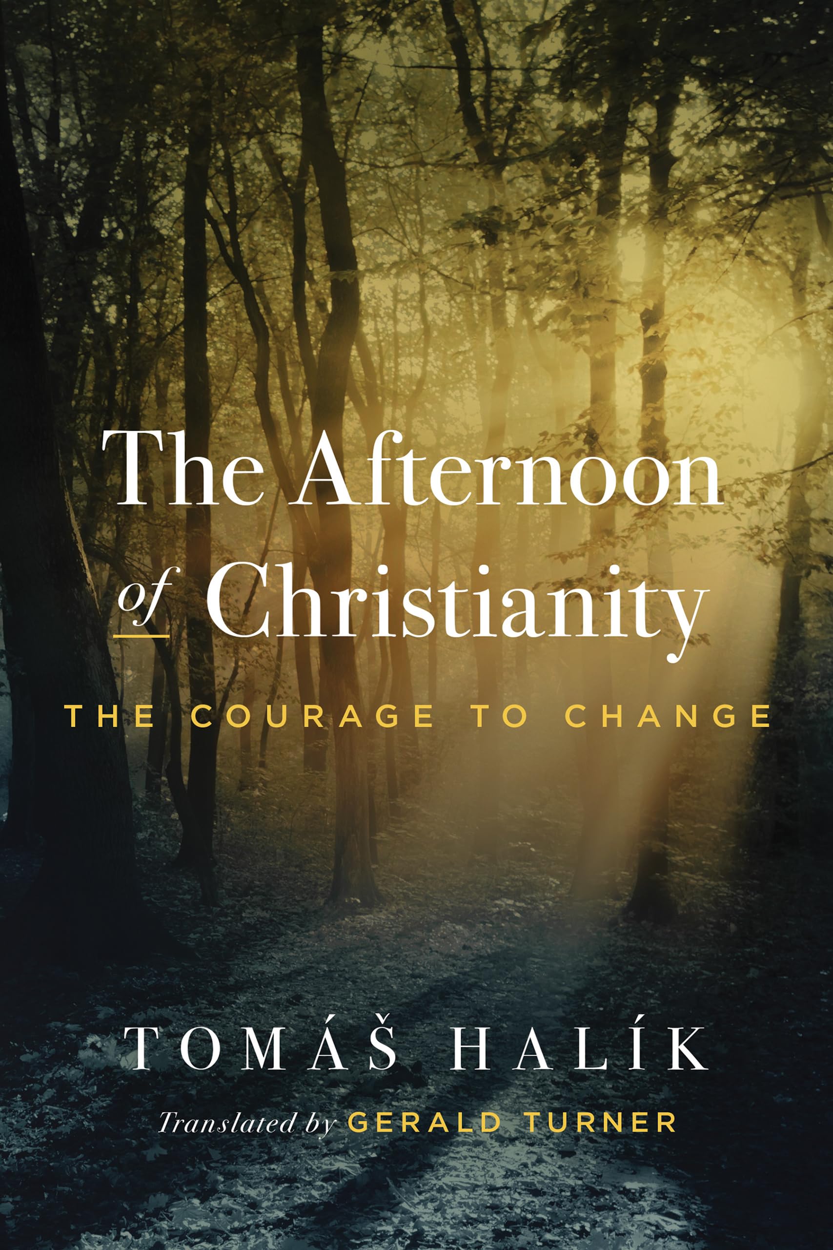 The Afternoon of Christianity: The Courage to Change by Tomáš Halík, Gerald Turner (Translator)