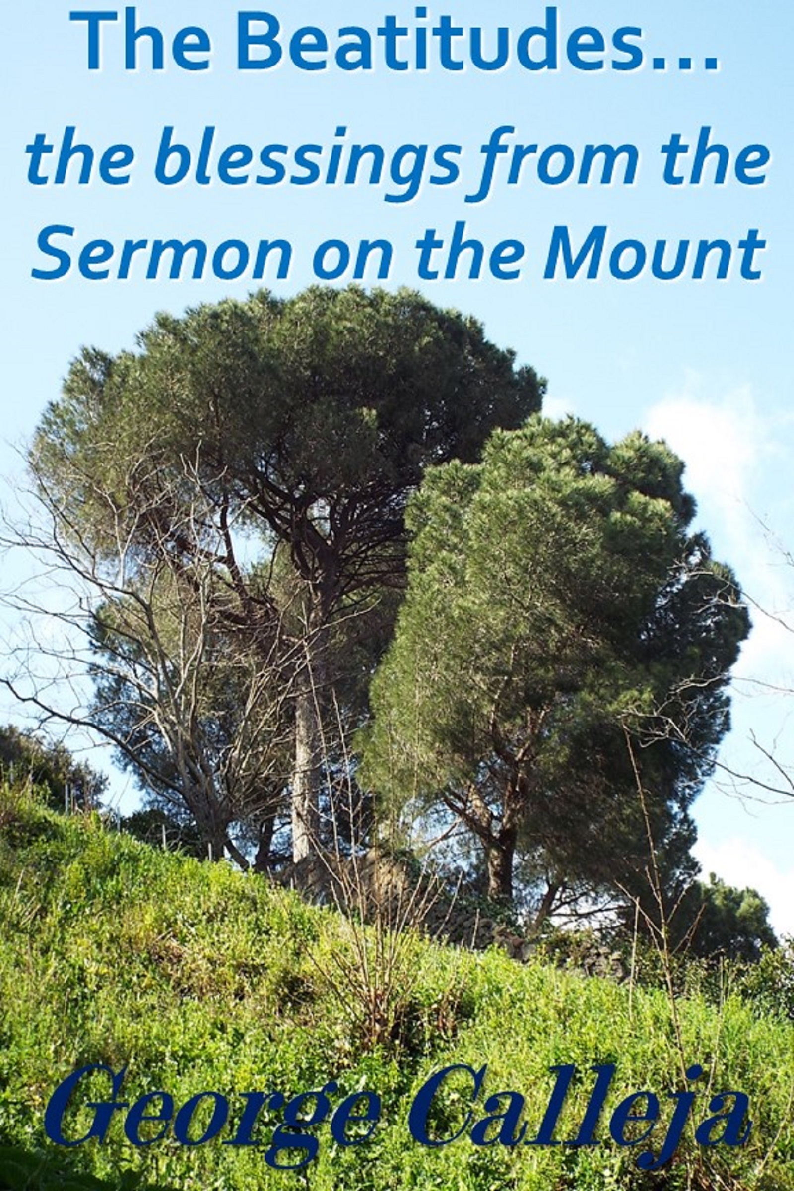 'The Beatitudes... the blessings from the Sermon on the Mount' by George Calleja