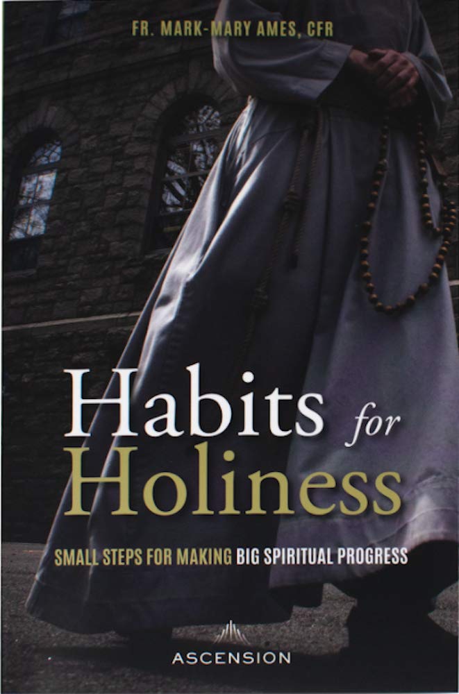 Habits for Holiness: Small Steps for Making Big Spiritual Progress by Mark-Mary Ames